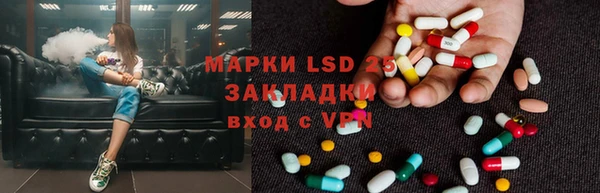 бошки Снежинск