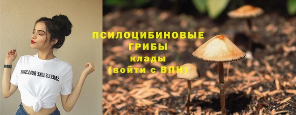 бошки Снежинск