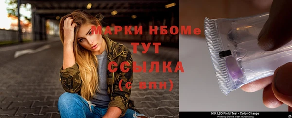 стаф Осинники