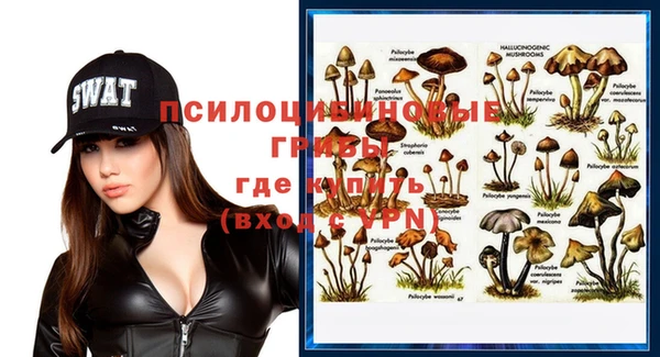бошки Снежинск