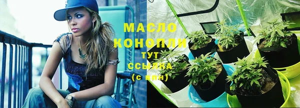 скорость Снежногорск