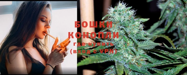 бошки Снежинск