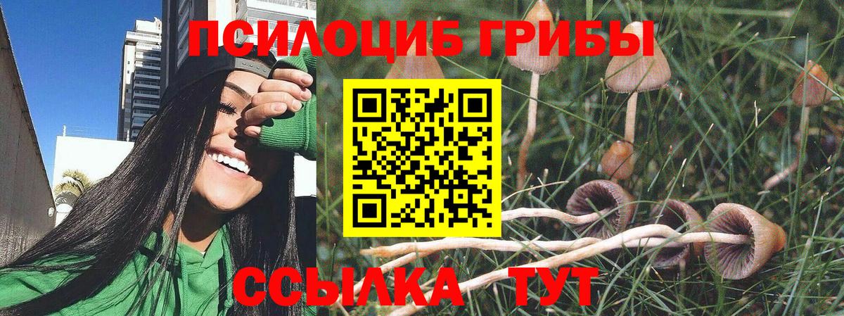 Псилоцибиновые грибы MAGIC MUSHROOMS Нижний Новгород