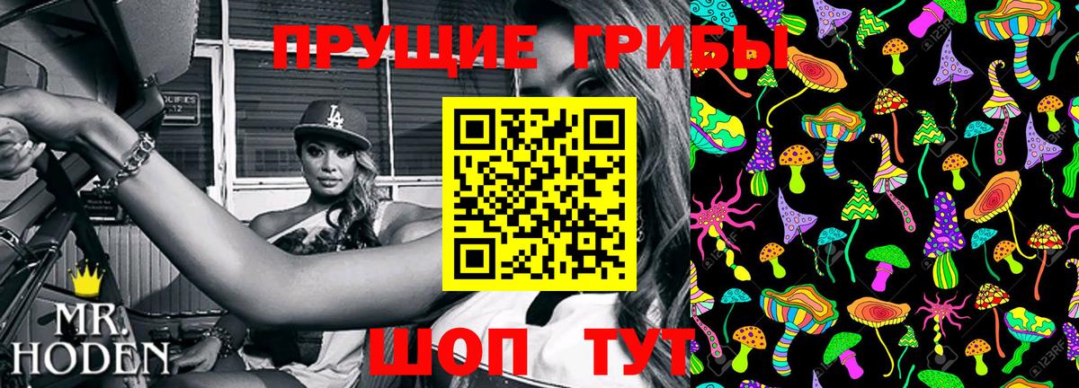 Нижний Новгород  Галлюциногенные грибы Cubensis  Вход с VPN 