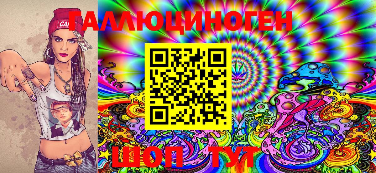 Галлюциногенные грибы Psilocybe  Нижний Новгород 