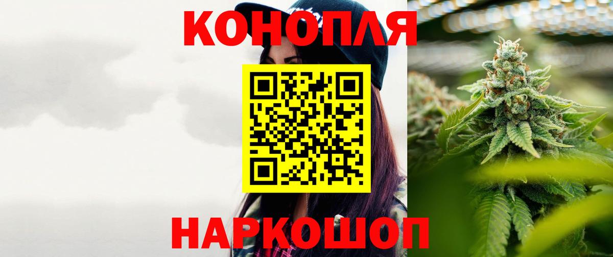 Бошки Шишки SATIVA & INDICA  Вход с VPN  Канабис тримм  Канабис White Widow  Нижний Новгород 